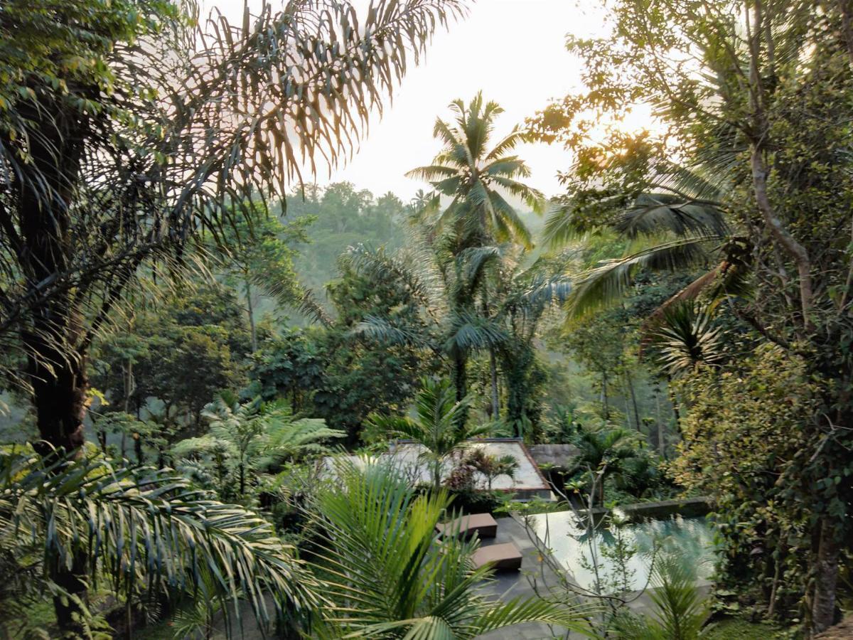 Villa Rimba Ubud Tegallalang  Luaran gambar
