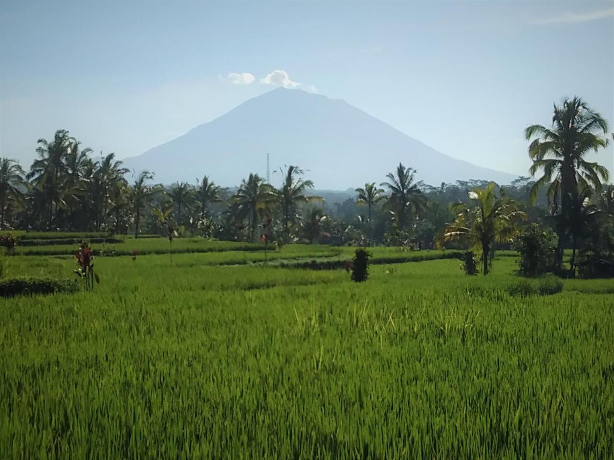 Villa Rimba Ubud Tegallalang  Luaran gambar