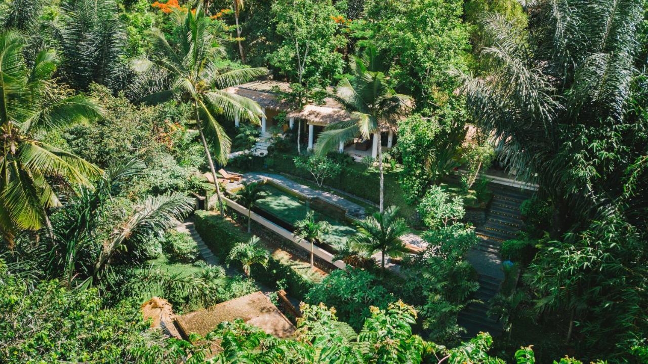 Villa Rimba Ubud Tegallalang  Luaran gambar