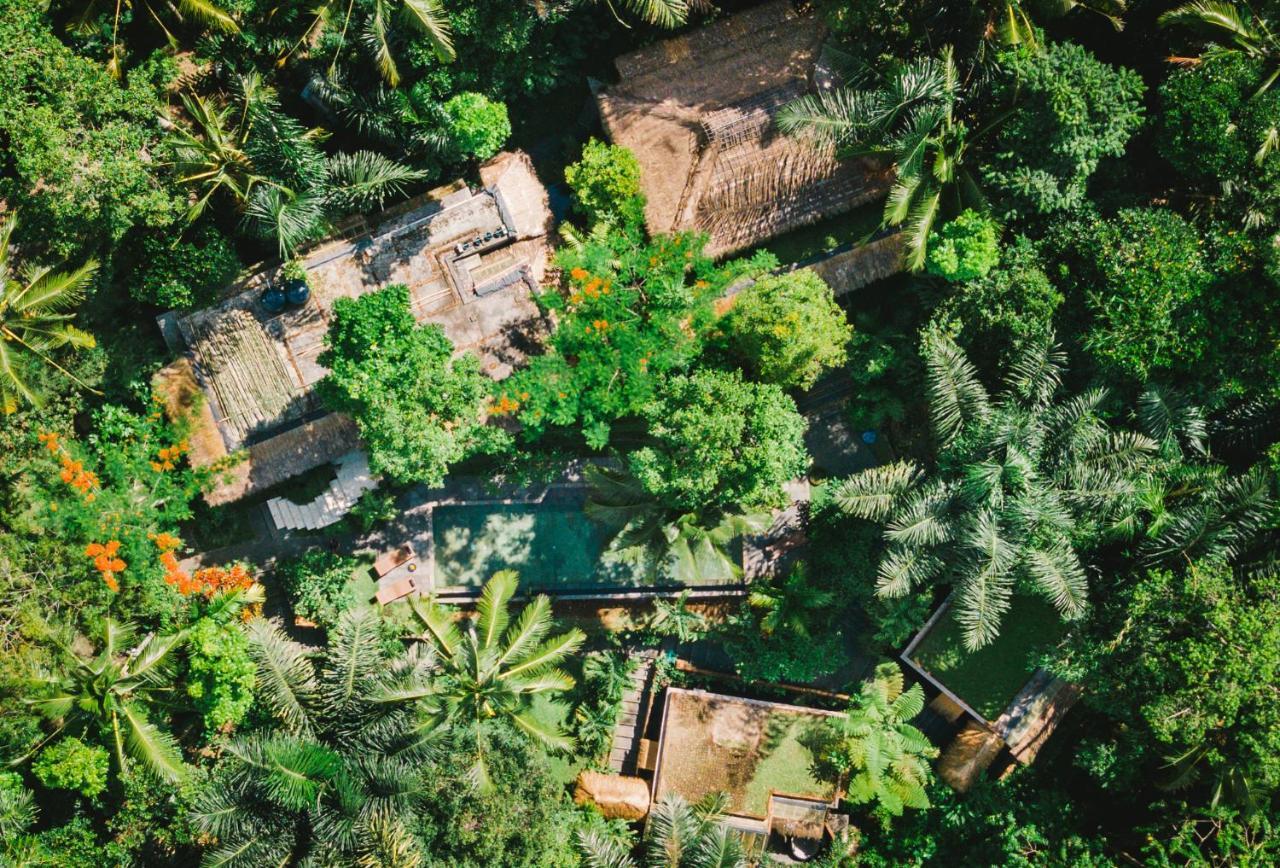 Villa Rimba Ubud Tegallalang  Luaran gambar