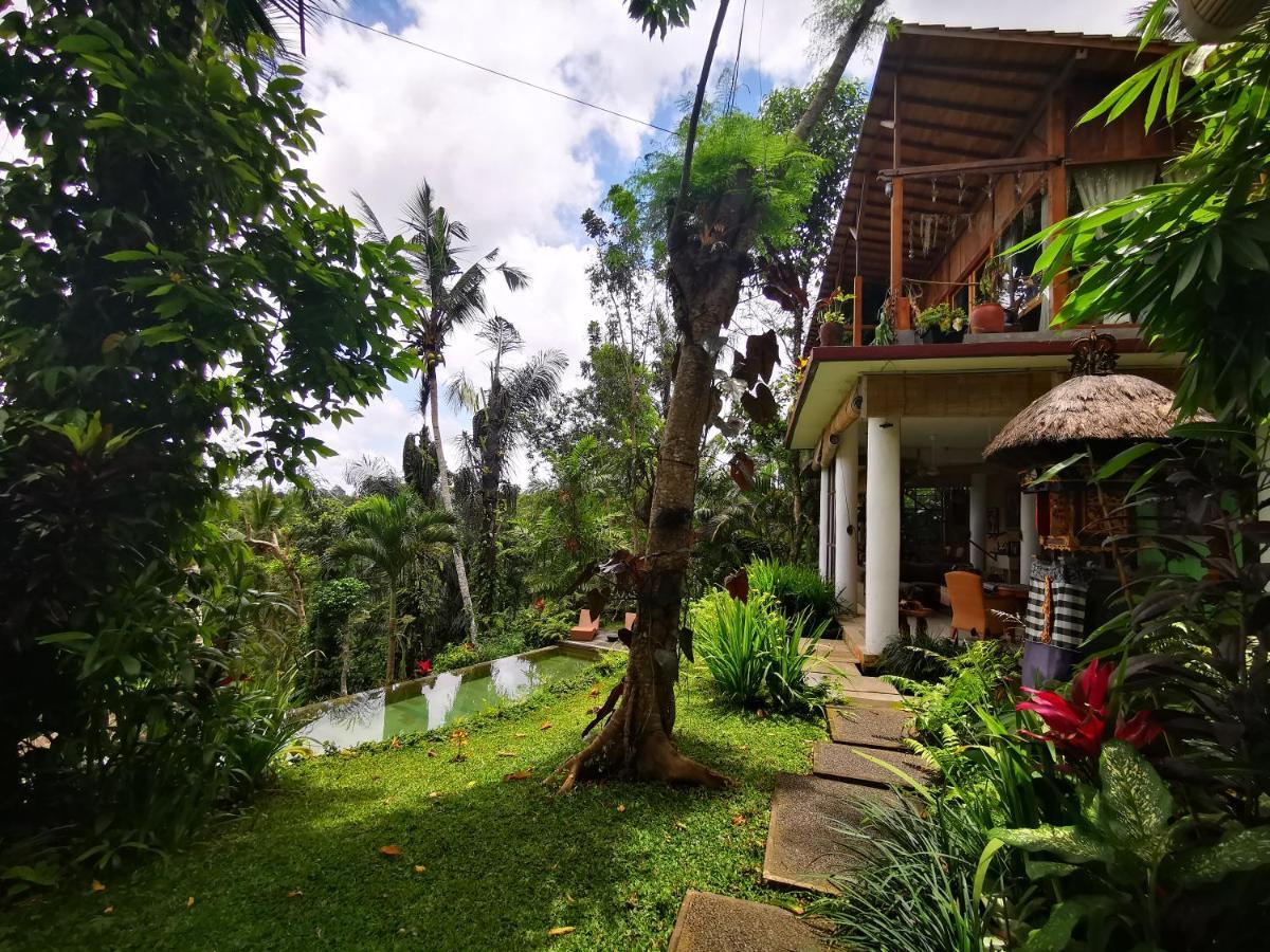 Villa Rimba Ubud Tegallalang  Luaran gambar