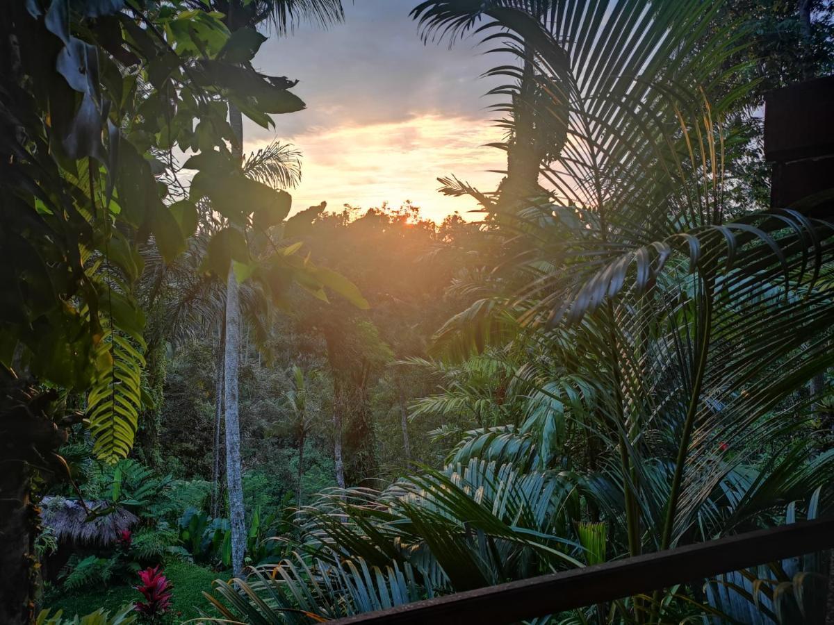 Villa Rimba Ubud Tegallalang  Luaran gambar
