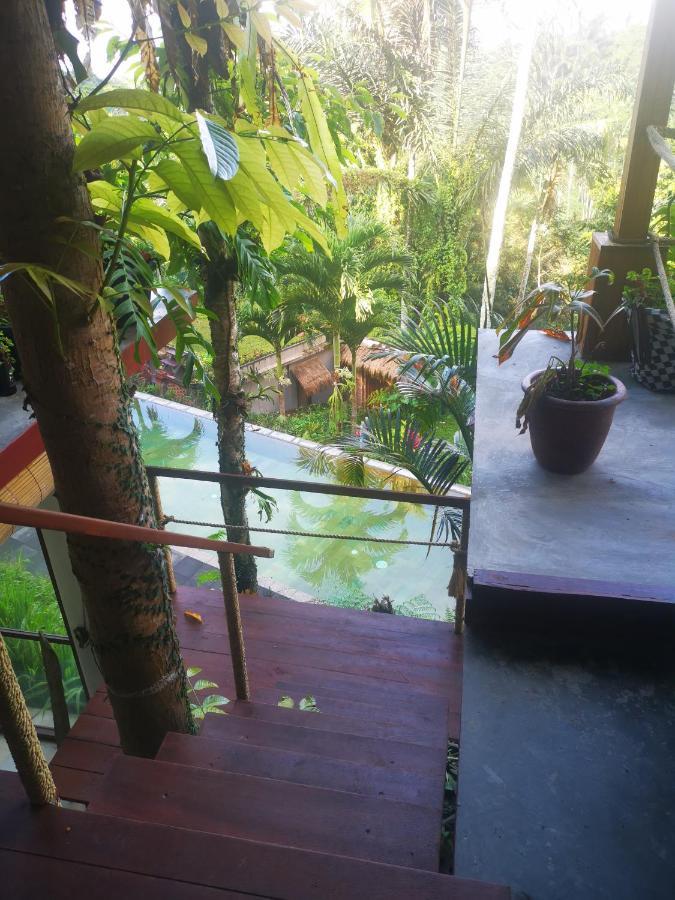 Villa Rimba Ubud Tegallalang  Luaran gambar