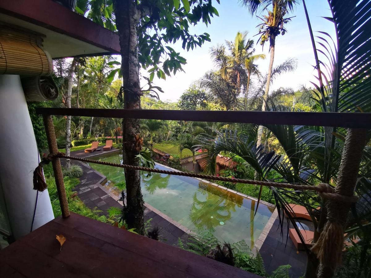 Villa Rimba Ubud Tegallalang  Luaran gambar