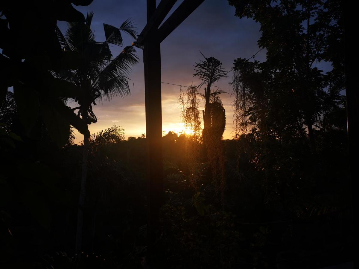 Villa Rimba Ubud Tegallalang  Luaran gambar