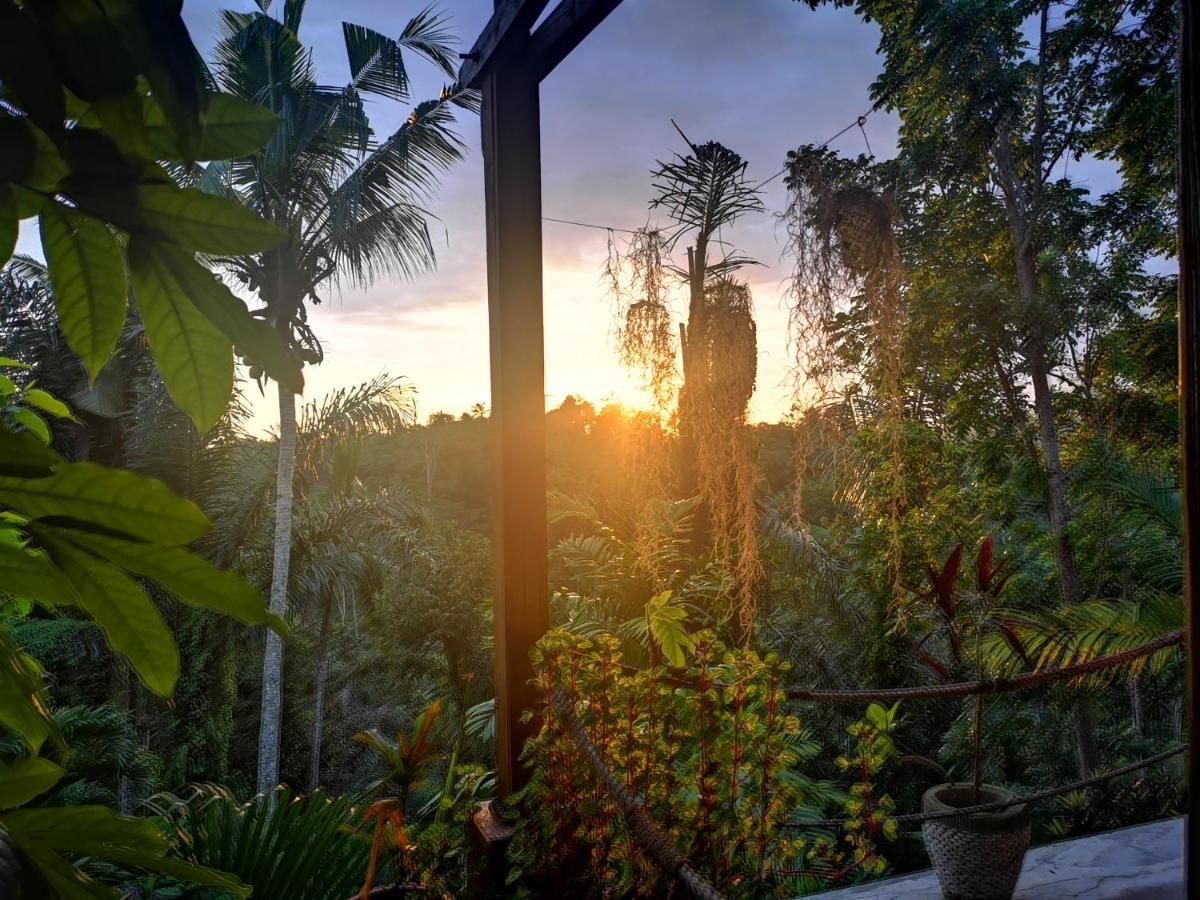 Villa Rimba Ubud Tegallalang  Luaran gambar