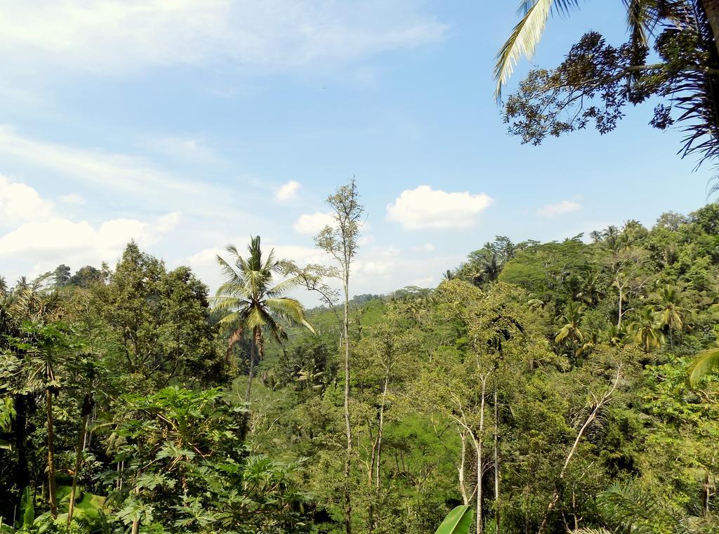 Villa Rimba Ubud Tegallalang  Luaran gambar